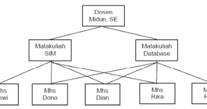 Membongkar Struktur Dunia Digital: Contoh Penerapan Data Modeling di Kehidupan Nyata